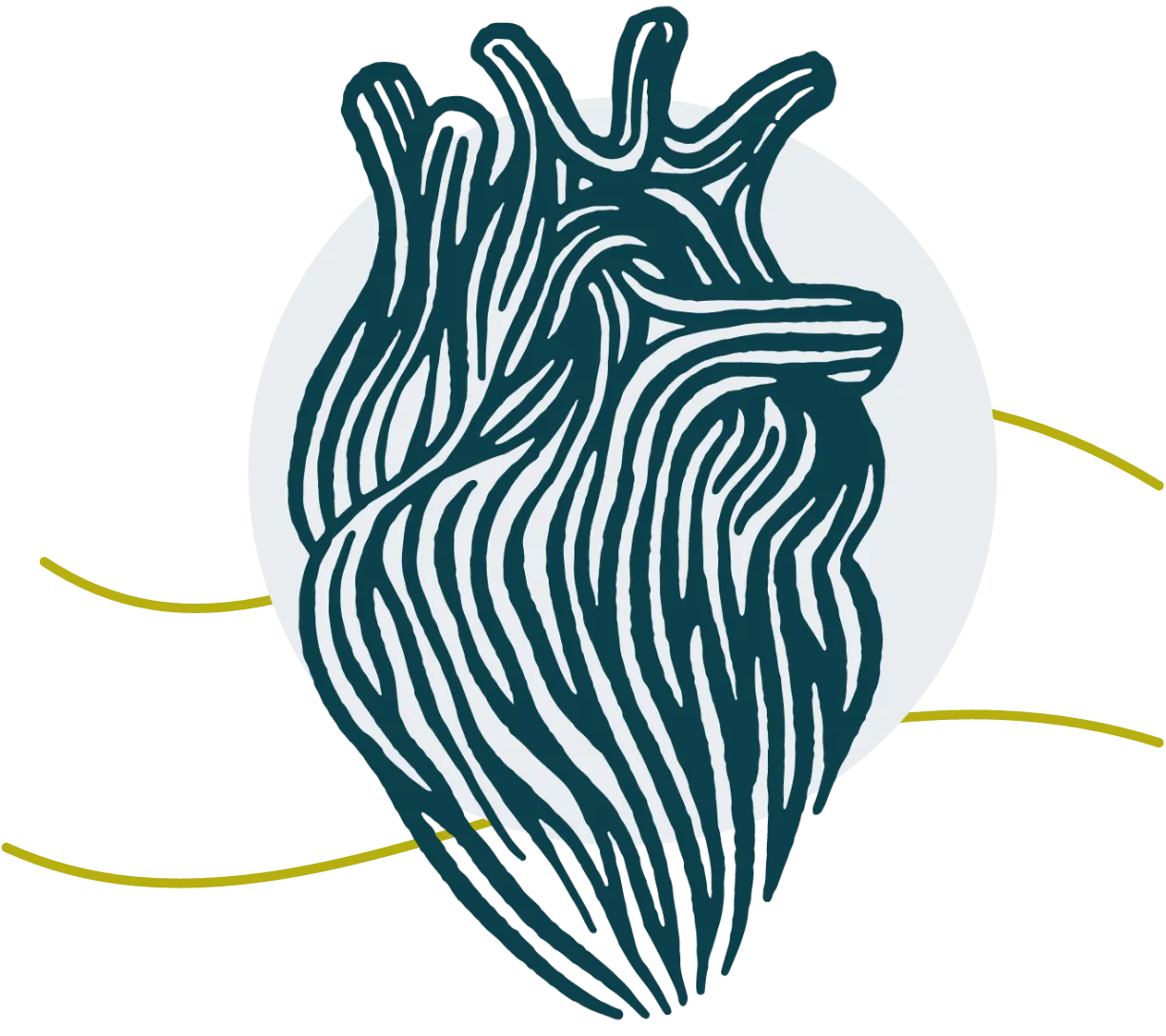 Centre Cardiovasculaire Jean Jaur&egrave;s