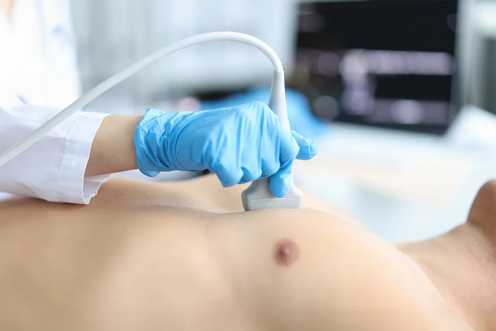 &Eacute;chographie cardiaque r&eacute;alis&eacute;e avec une sonde thoracique pour visualiser le c&oelig;ur en temps r&eacute;el